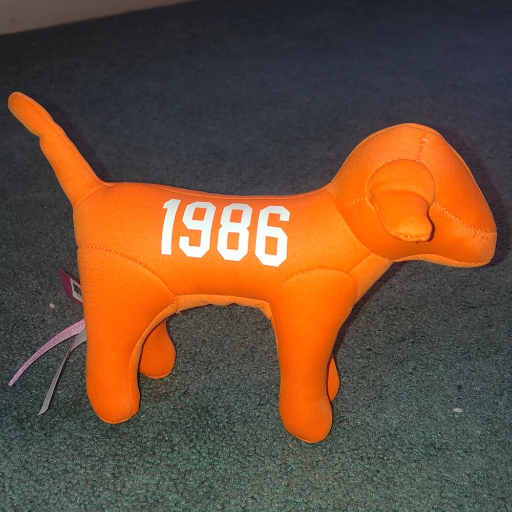 Victoria’s Secret Dog